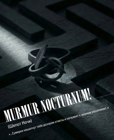 Ремешок на сумку-БРАСЛЕТ-держатель Брелока Унисекс Pi-MURMUR NOCTURNUM!